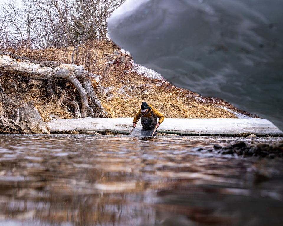 Understanding Midges in The Crowsnest River and Oldman River